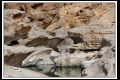 Oman (44).jpg